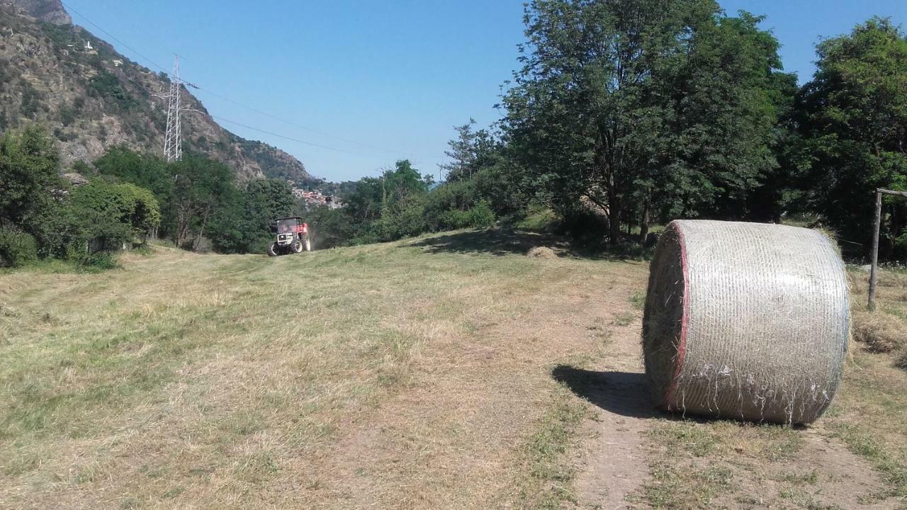 Agriturismo Al Pra Di Muriet Суза Екстер'єр фото