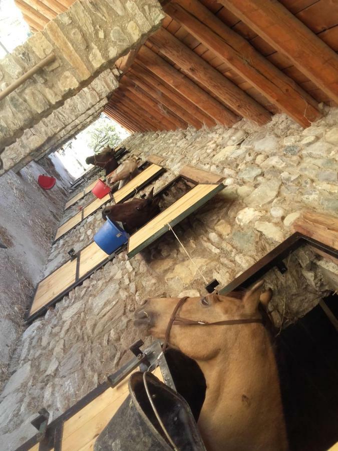 Agriturismo Al Pra Di Muriet Суза Екстер'єр фото